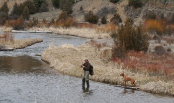 Flyfishing on a high-valley stream near Philipsburg, MT.